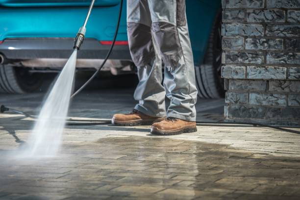 Best Sign and Awning Cleaning  in Rayne, LA