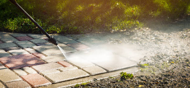 Best Sidewalk and Walkway Cleaning  in Rayne, LA